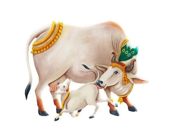Kashi Gau Amrit